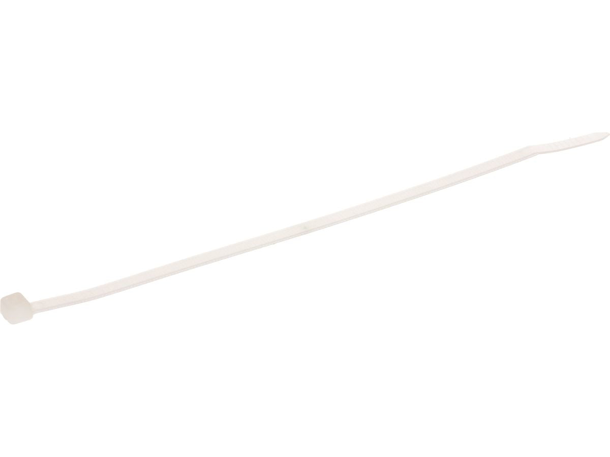 Max Hauri AG Max Hauri – Kabelbinder 100 × 2,5 mm, Polyamid, natur, 100 Stk.