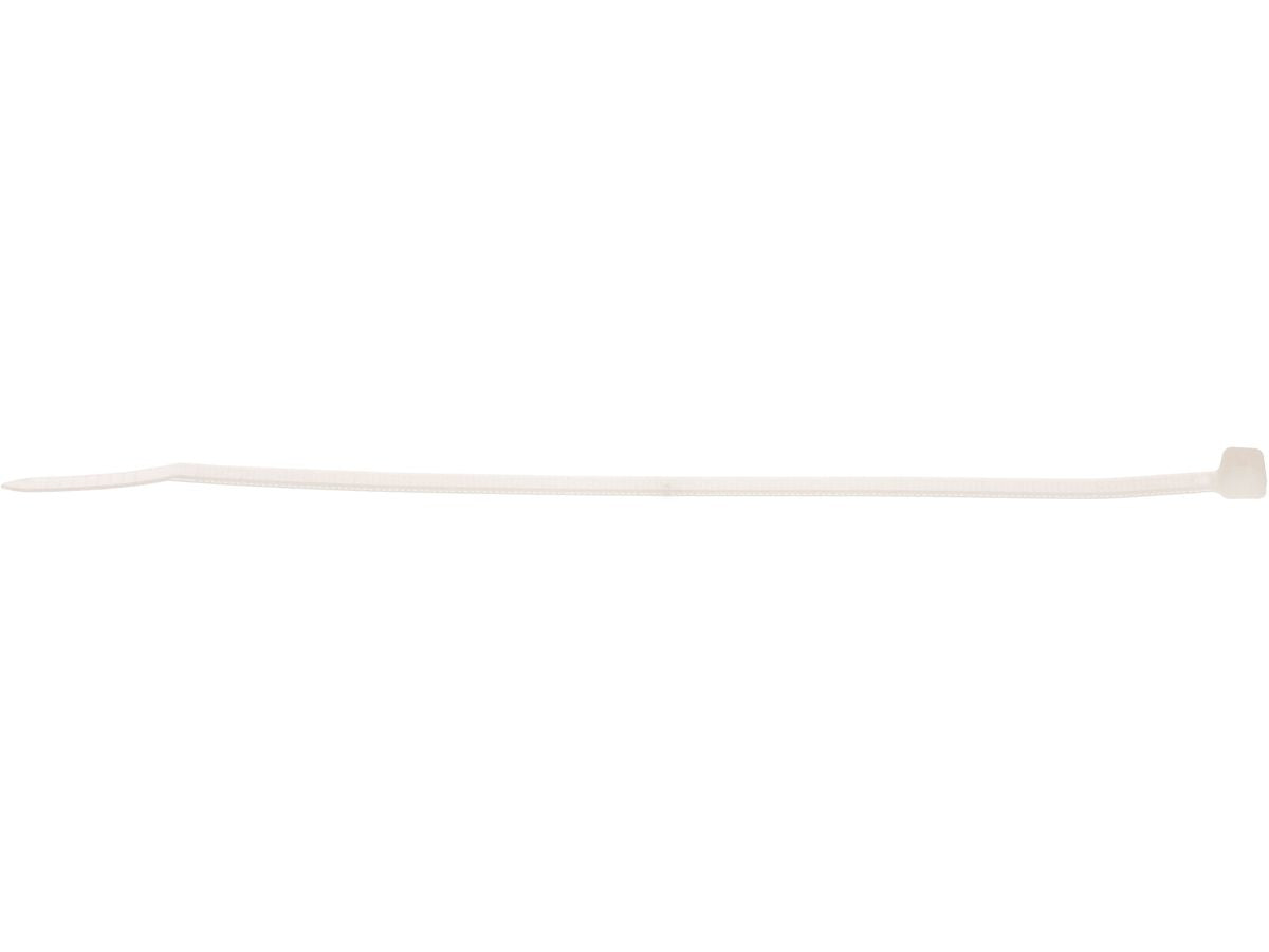Max Hauri AG Max Hauri – Kabelbinder 100 × 2,5 mm, Polyamid, natur, 100 Stk.
