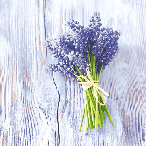Paper + Design Servietten Muscari, Violett – 33 × 33 cm, 3-lagig – 20 Stück