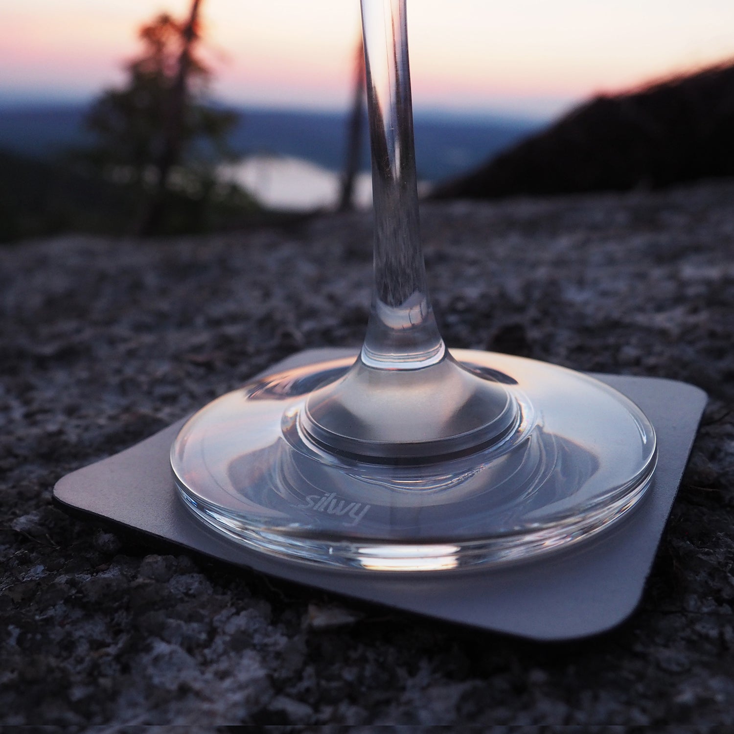 Silwy Champagnerflöte – 2er Set, 200 ml, Kristallglas, Transparent