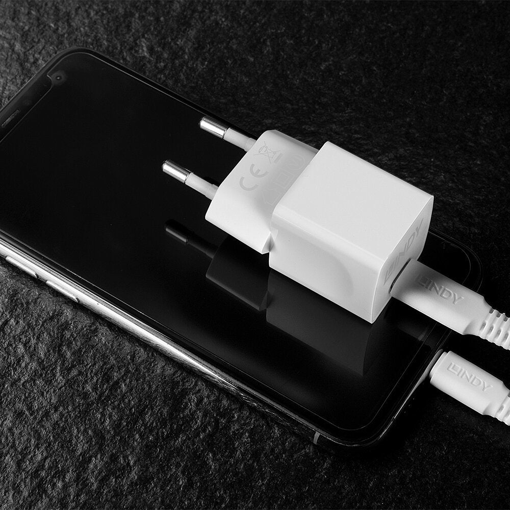 Lindy Ladegerät (EU) – 20 W, 1× USB-C, PD