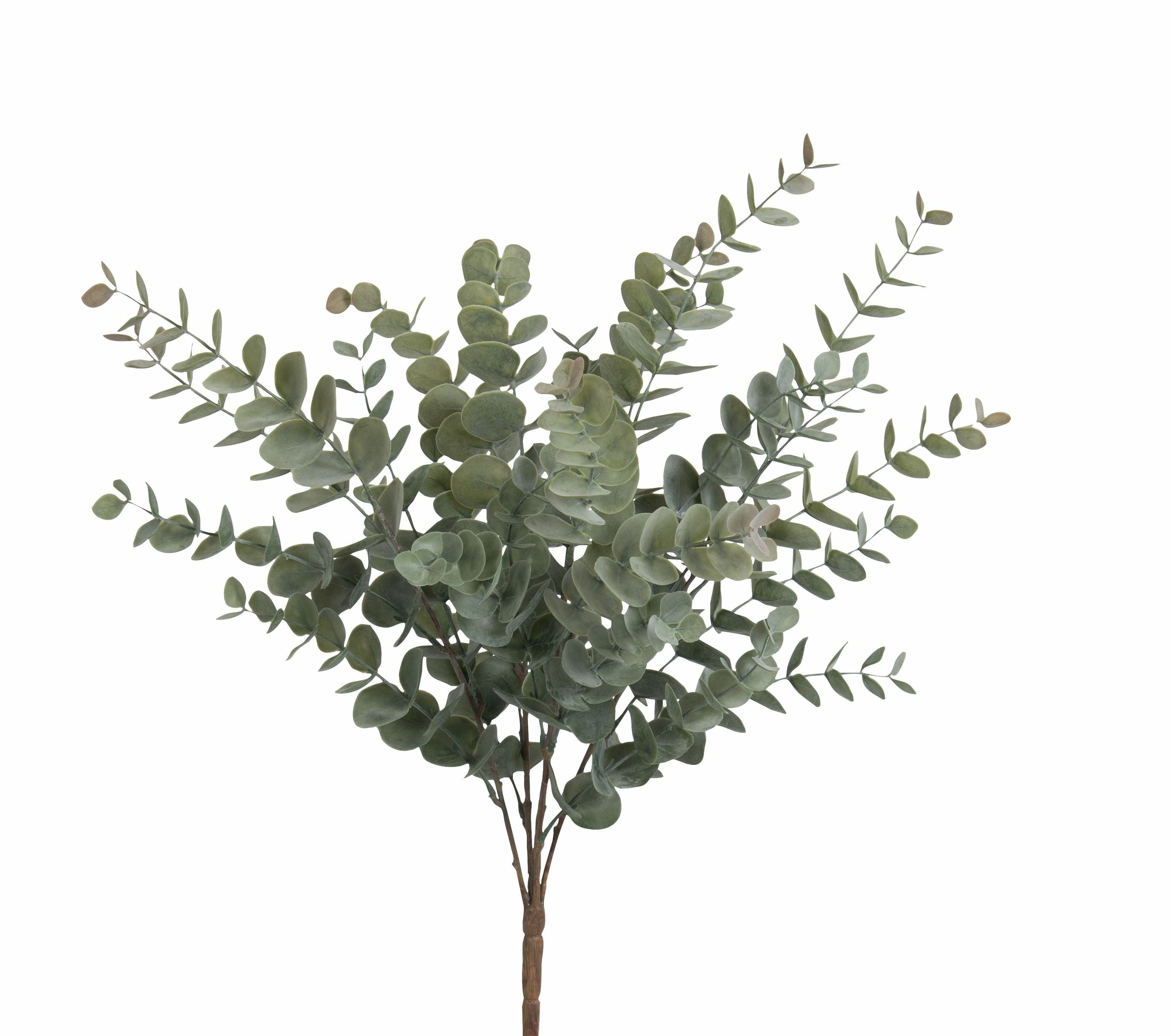 Botanic-Haus Künstliche Eukalyptuspflanze – 56 cm – Kunststoff, Grün – 6-teilig