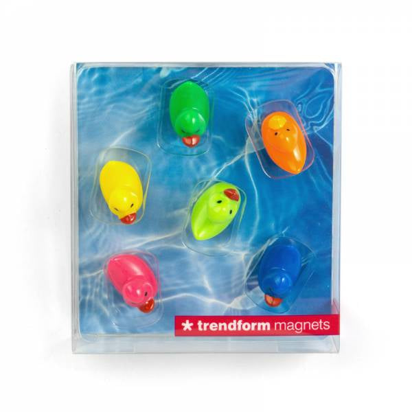Trendform Tafelmagnete – 20 × 23 × 14 mm – Acryl, Neodym, 6 Stück, mehrfarbig