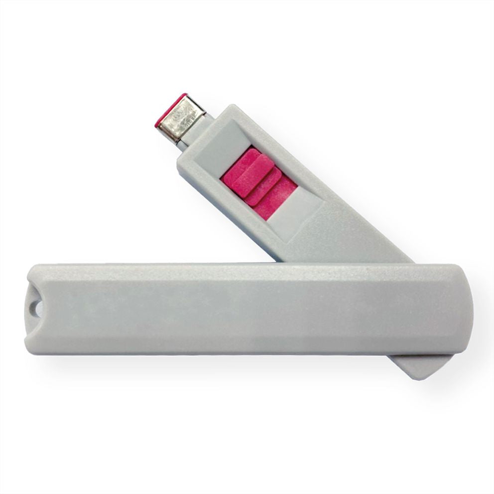 ROLINE USB-Port-Blocker – mit Schloss und Schlüssel – Grau – für USB-C