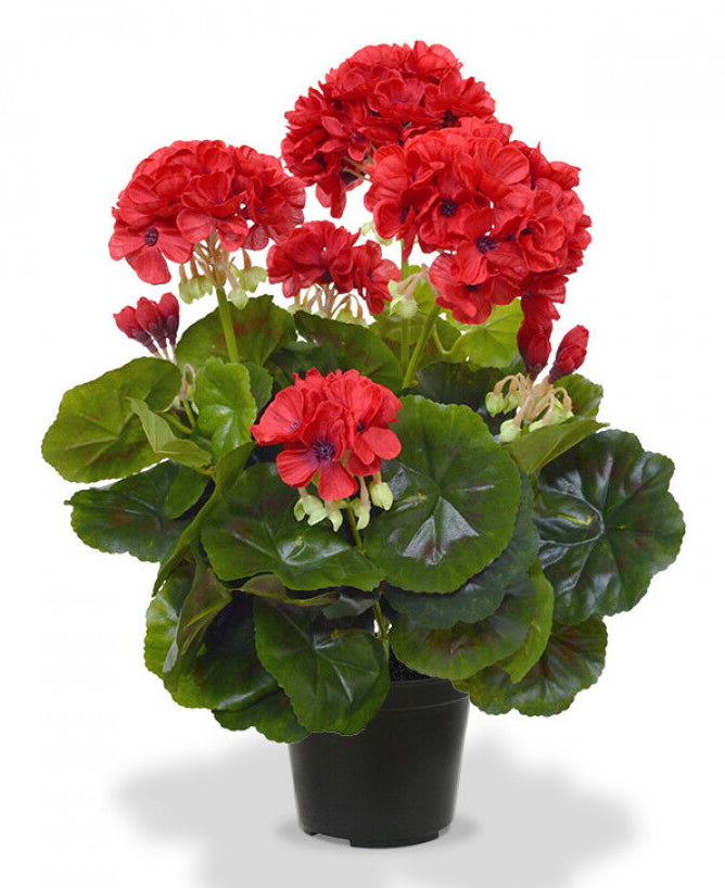 Botanic-Haus Geranie – Künstliche Topfpflanze – 40 cm, Ø 25 cm – Kunststoff, Rot