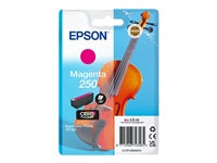 Epson Tintenpatrone 250, magenta, 4,8 ml, original – für Expression Photo XP-980