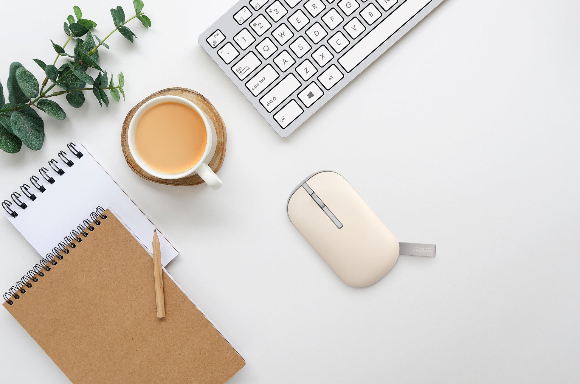 ASUS MD100 – Maus – Kabellos (Bluetooth/2,4 GHz), beidhändig, Grün/Violett