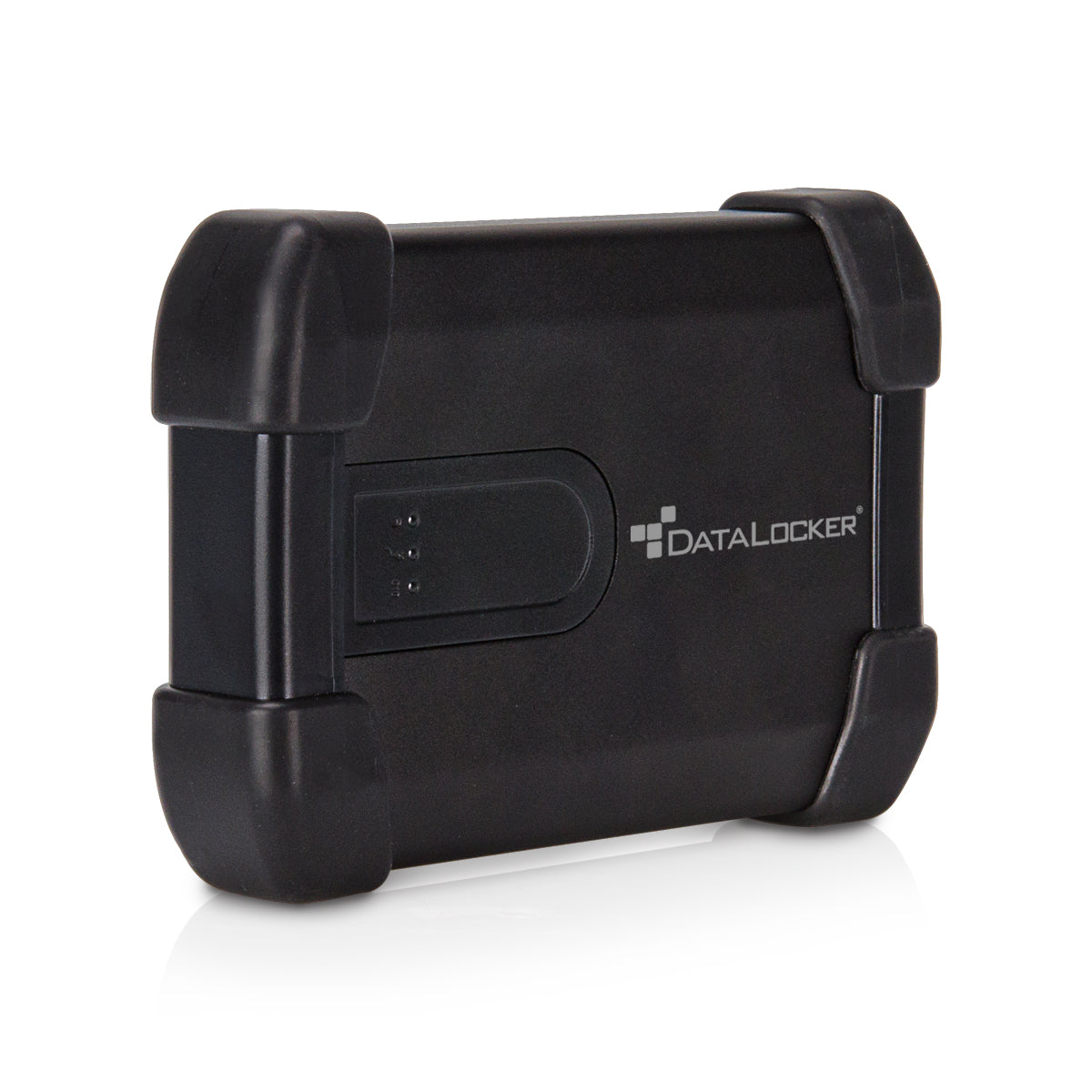DataLocker IronKey H300 Basic – 2 TB, 2,5", USB 3,2 Gen 1, Verschlüsselte Externe HDD