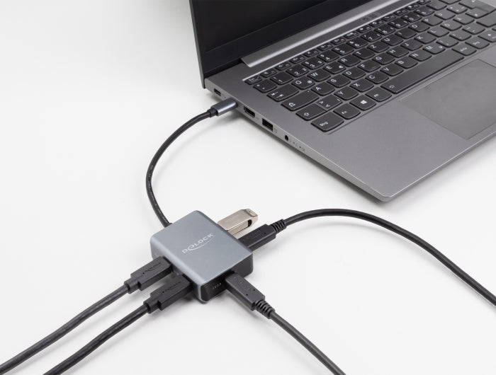 DeLOCK USB-Hub – 4× USB-C, für Windows/Mac/Linux