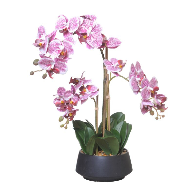 CHALET Orchidee – Künstliche Topfpflanze – 58 cm – Kunststoff, mehrfarbig