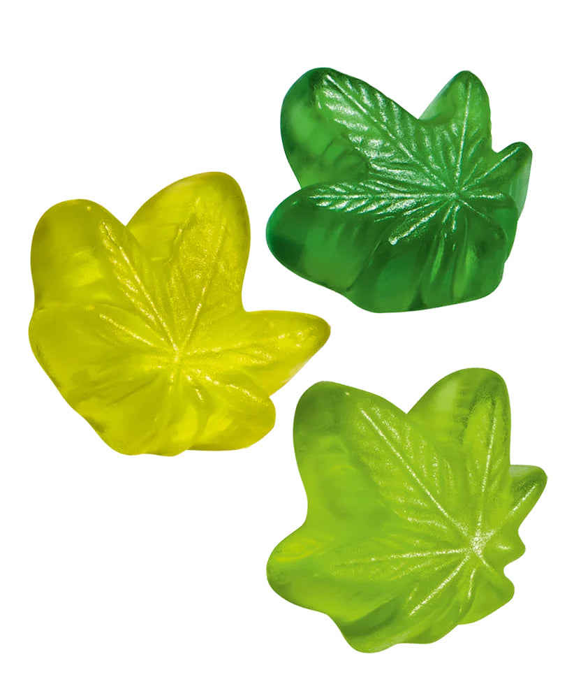 Trolli Watermelon – glutenfrei, laktosefrei, Tee, Beutel