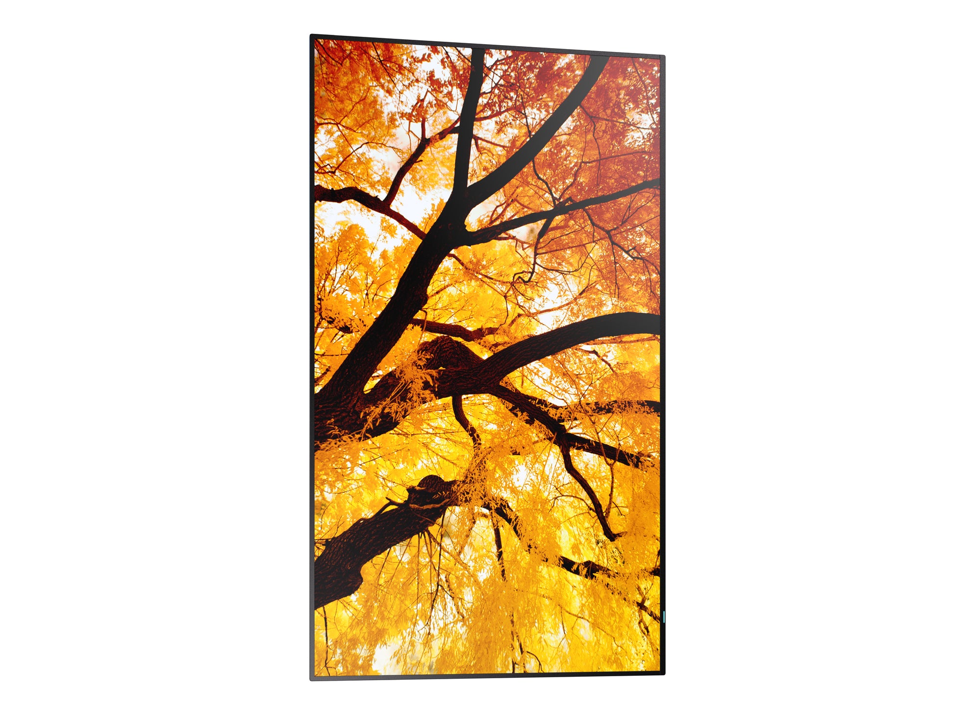 Sharp M322 – 32" Full HD Signage-Display, 550 cd/m², 24/7, Schwarz