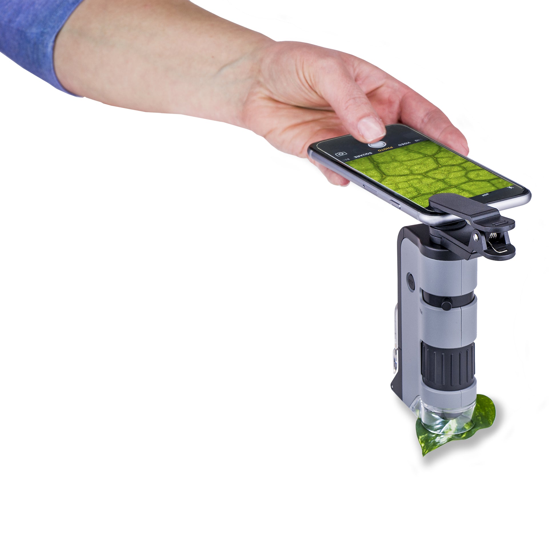 Carson MicroFlip Taschenmikroskop – 100–250×, LED+UV, mit Smartphone-Adapter, grau