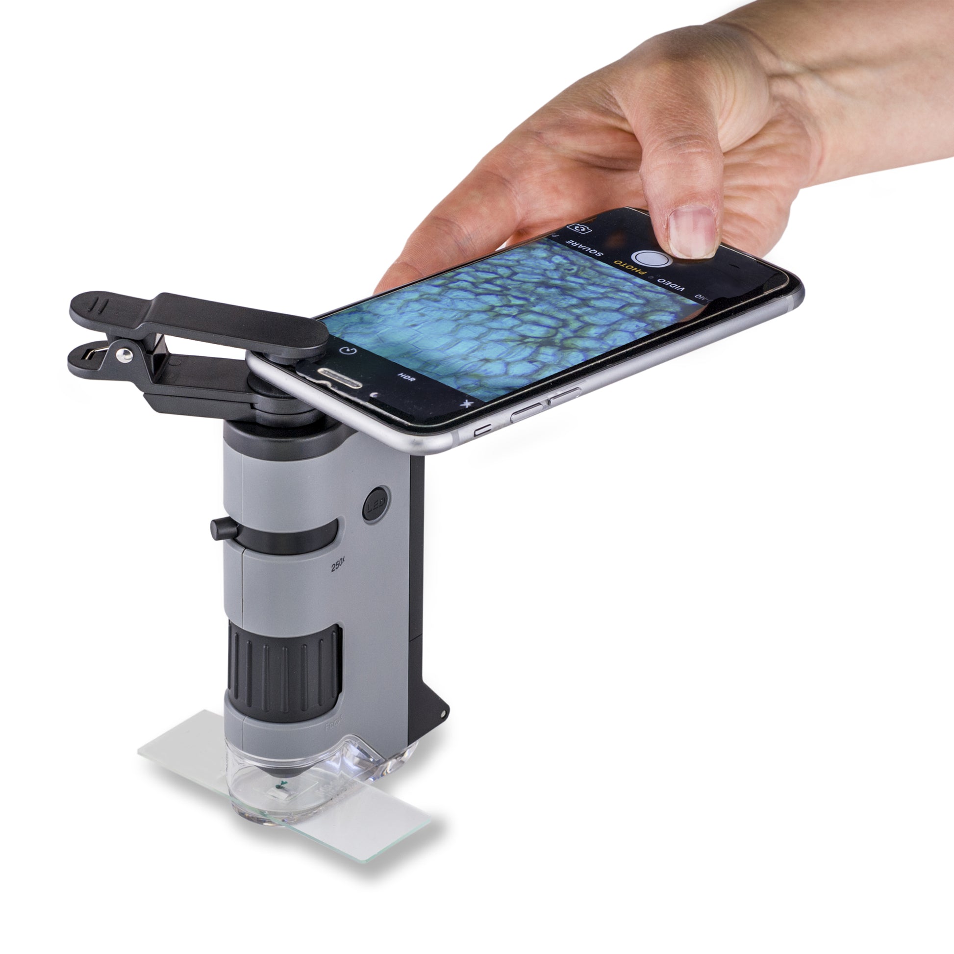 Carson MicroFlip Taschenmikroskop – 100–250×, LED+UV, mit Smartphone-Adapter, grau