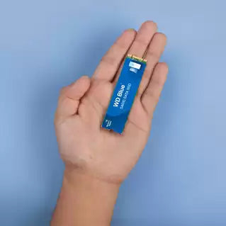 Western Digital Blue SA510 – 250 GB SSD, für M.2 2280 (SATA)