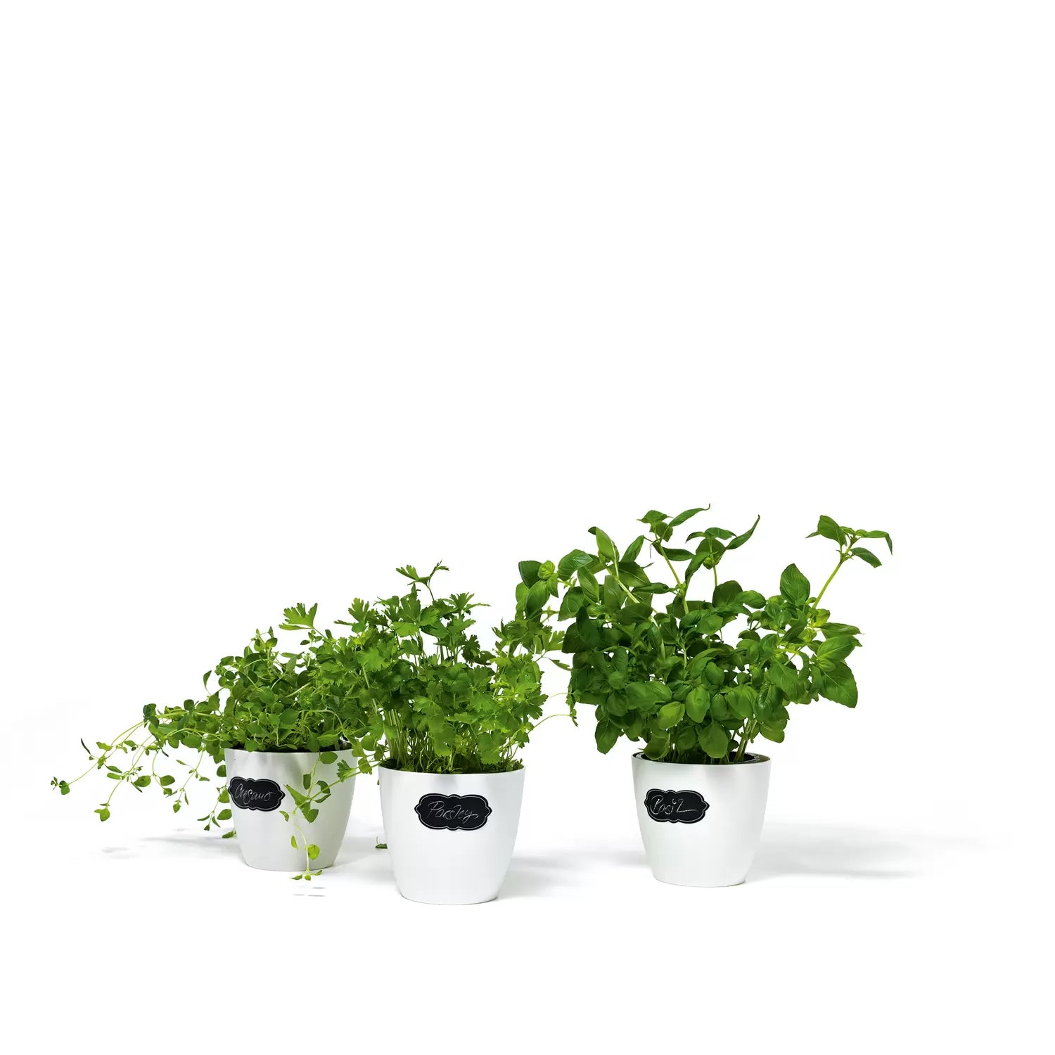 HERMA Schmucketiketten – Motiv Wolke – Folie, 6 Stk, 2 Bogen, 84×120 mm