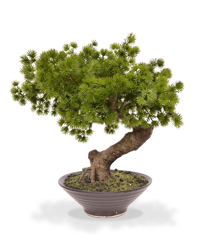 Botanic-Haus Bonsai Pinus Künstliche Topfpflanze – Ø 30 × 40 cm – Polyester, braun