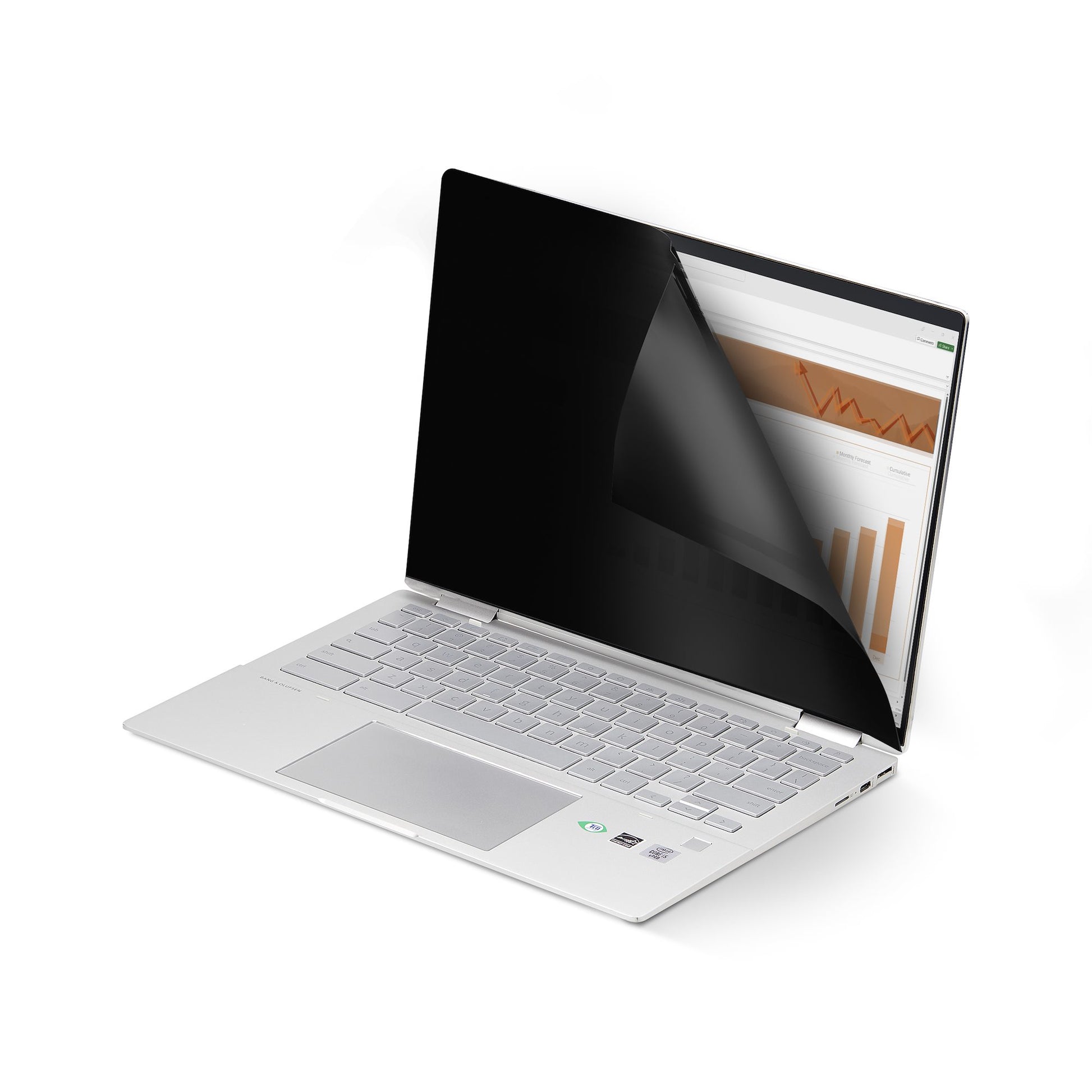 StarTech.com Displayschutz für 14" Laptop