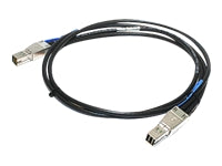 Synology SAS-Kabel SFF-8644 zu SFF-8644, 1 m