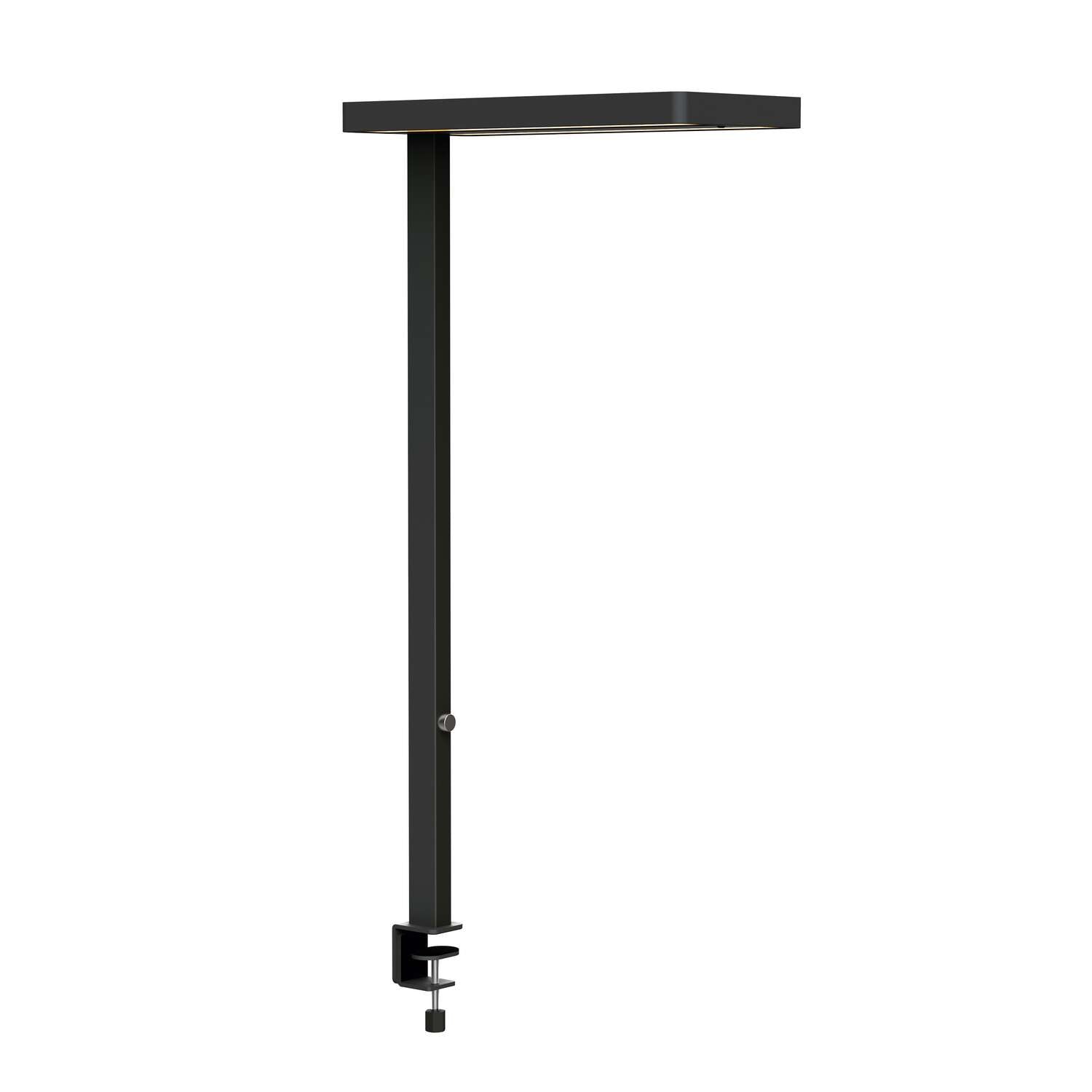 MAULjuvis Sensor – 3 Lampen, dimmbar