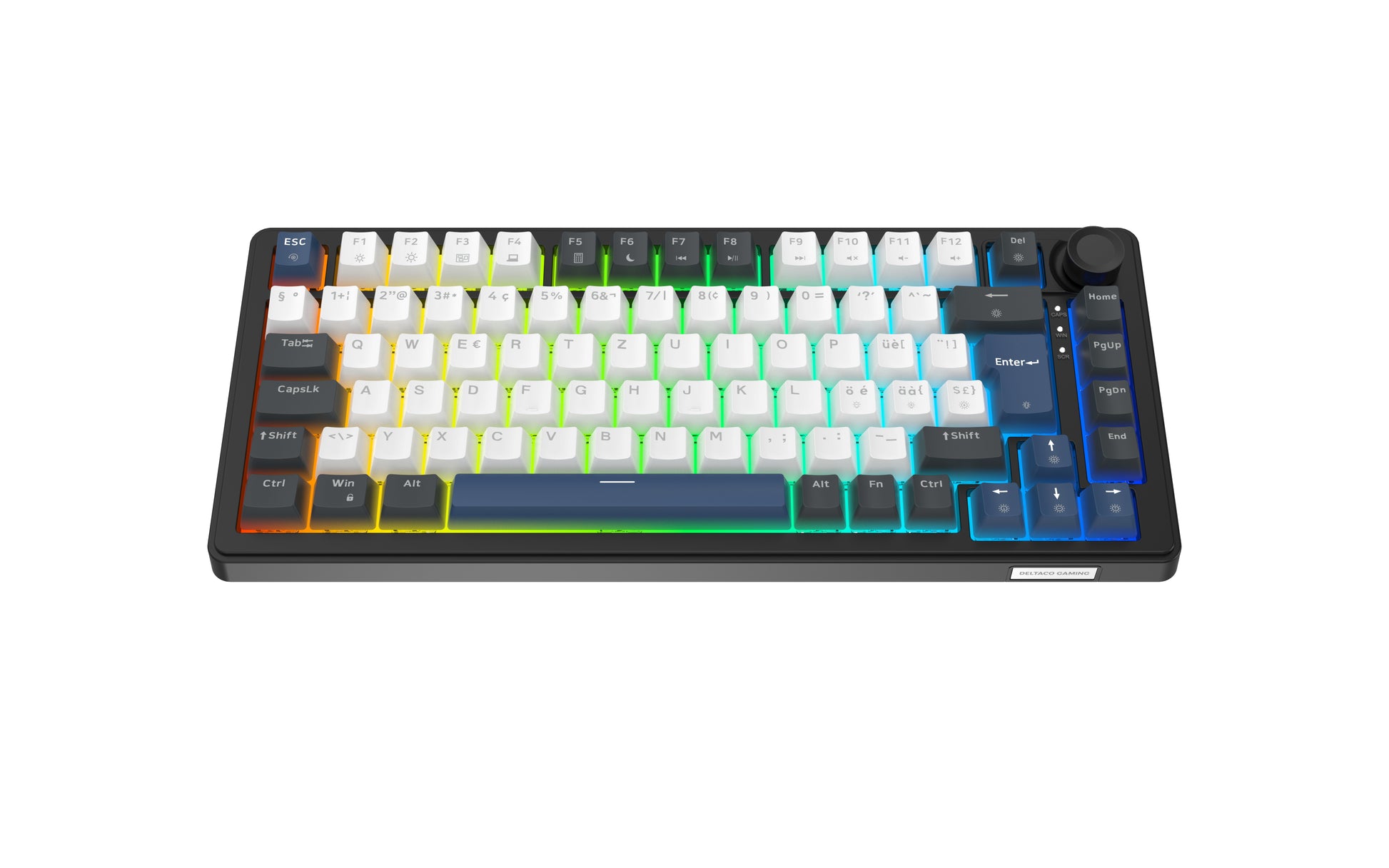 Deltaco Gaming DK480 – Gaming-Tastatur 75% – Mechanisch – Kabelgebunden (USB-C) – QWERTZ (CH) – RGB, Hot-Swap