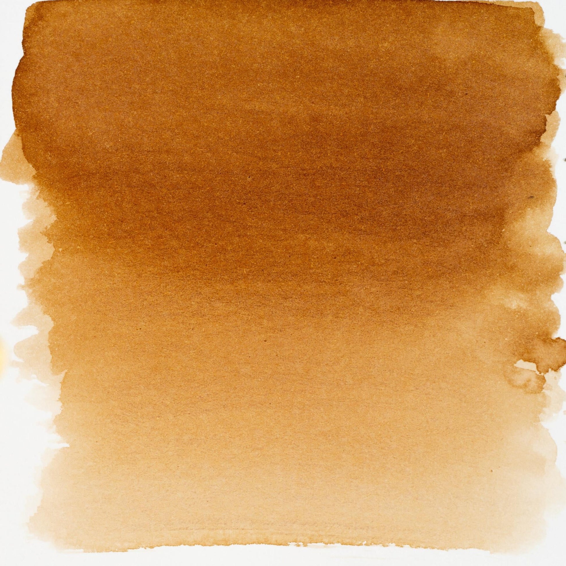 Talens Gouache – Sepia, 30 ml