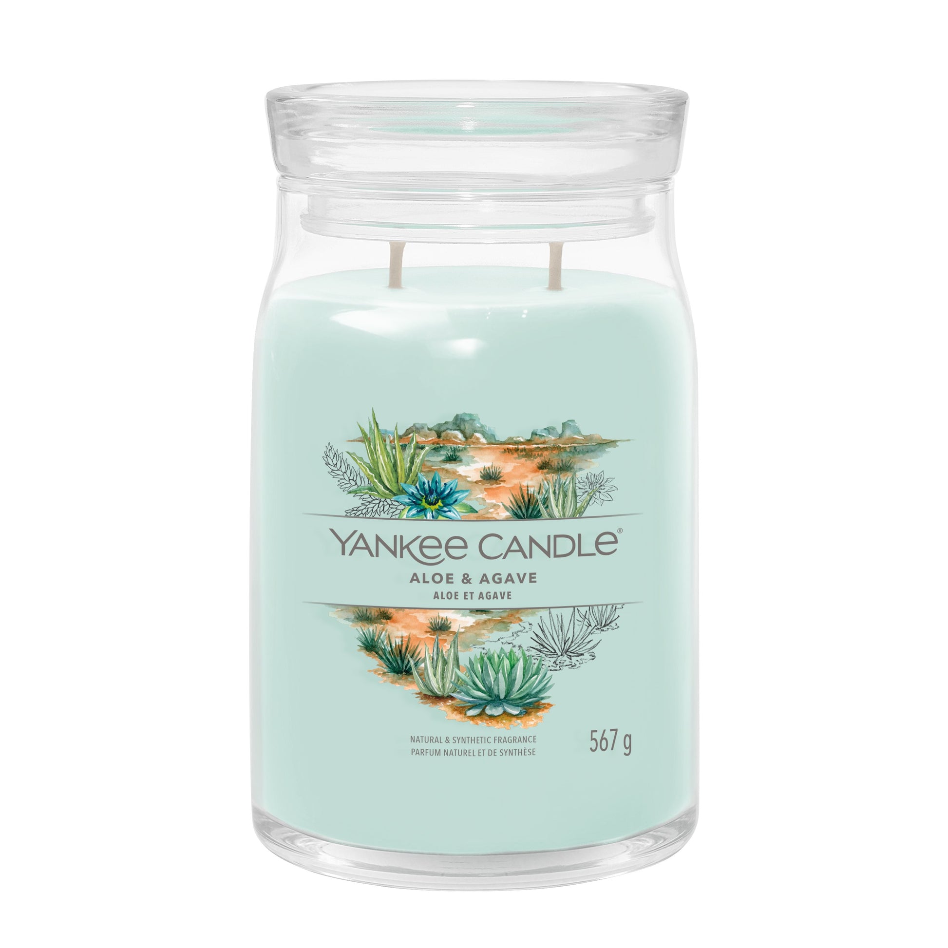 Yankee Candle Aloe & Agave – Duftkerze, Grosses Glas, 90 h