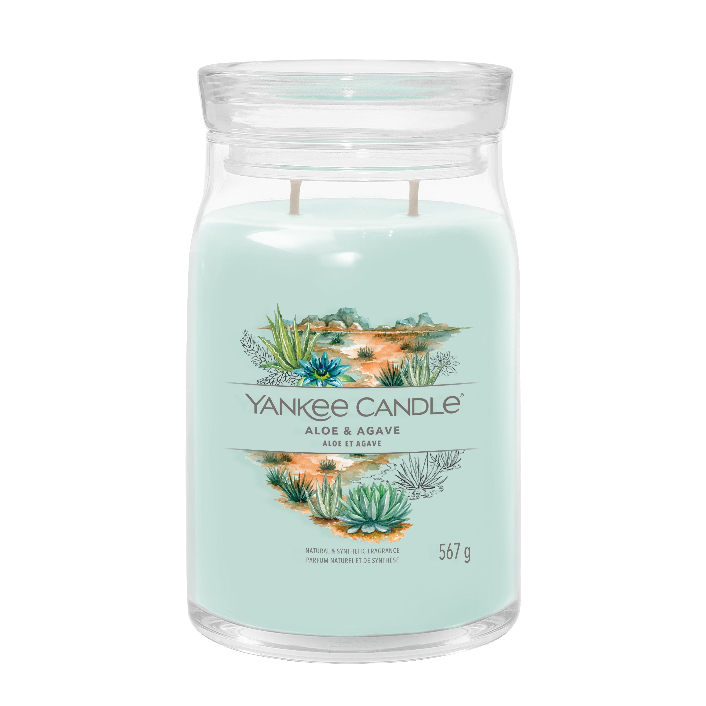 Yankee Candle Aloe & Agave – Duftkerze, Grosses Glas, 90 h
