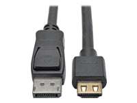 Tripp Lite P582-010-HD-V4A Kabel DisplayPort zu HDMI – 4K (3840 × 2160) @ 60 Hz, DP 1.4, HDR, 3,05 m – Schwarz