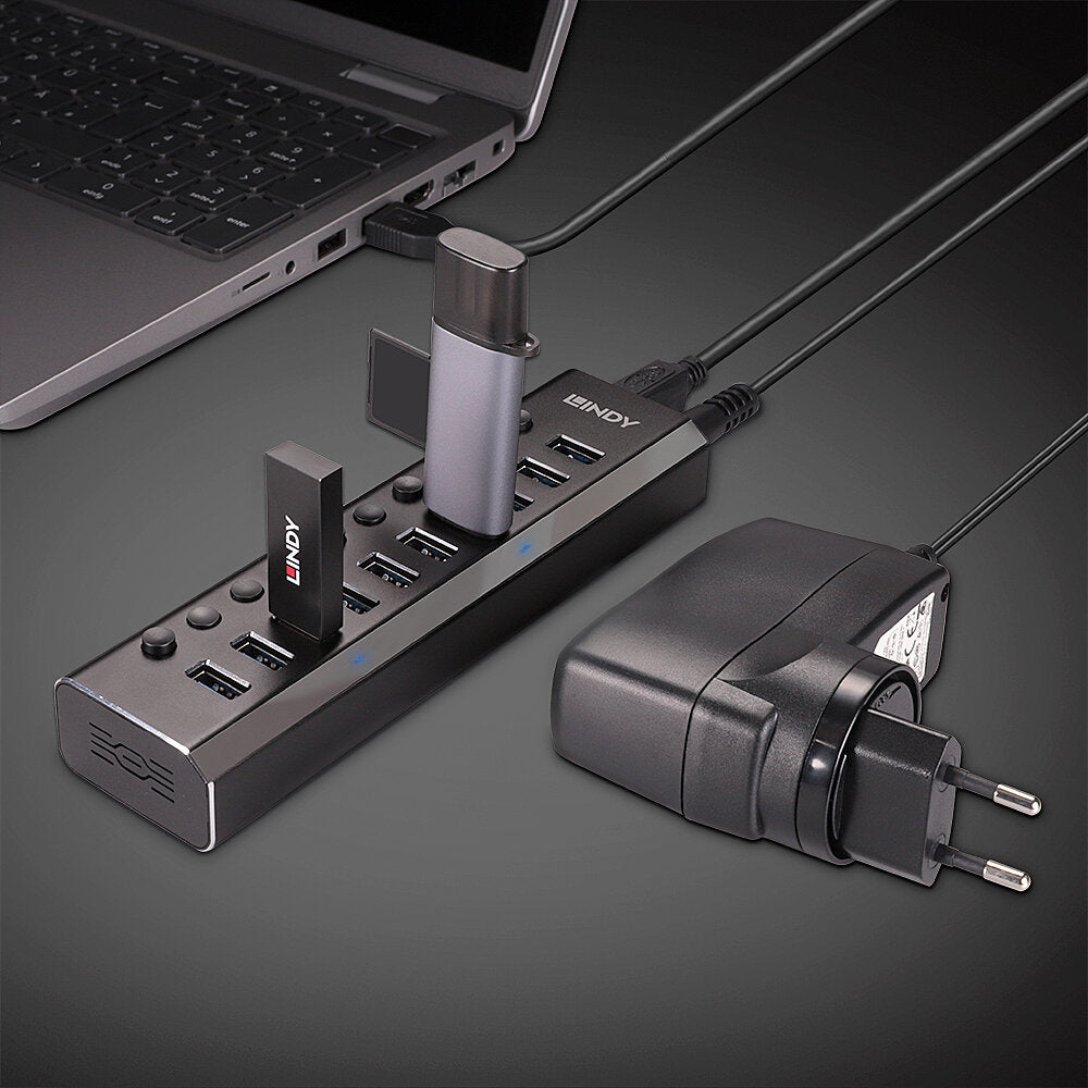 Lindy 43370 USB-Hub – USB-B, 10× USB-A