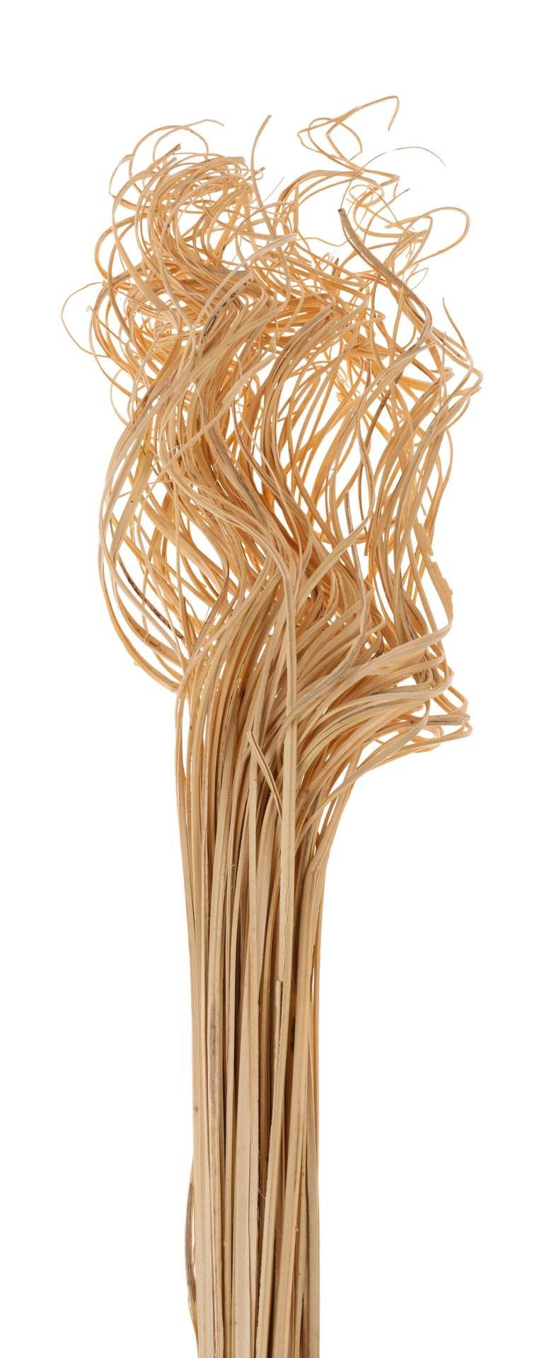 Opiflor Künstliche Pflanze – 70 cm – Rattan, natur