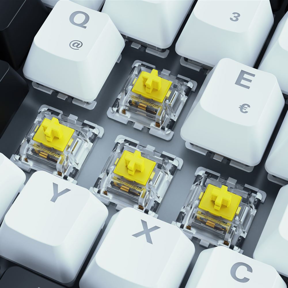 Sharkoon SKILLER SGK50 S3 – Gaming-Tastatur 75% – Mechanisch – Kabelgebunden (USB-C) – QWERTZ (DE) – RGB