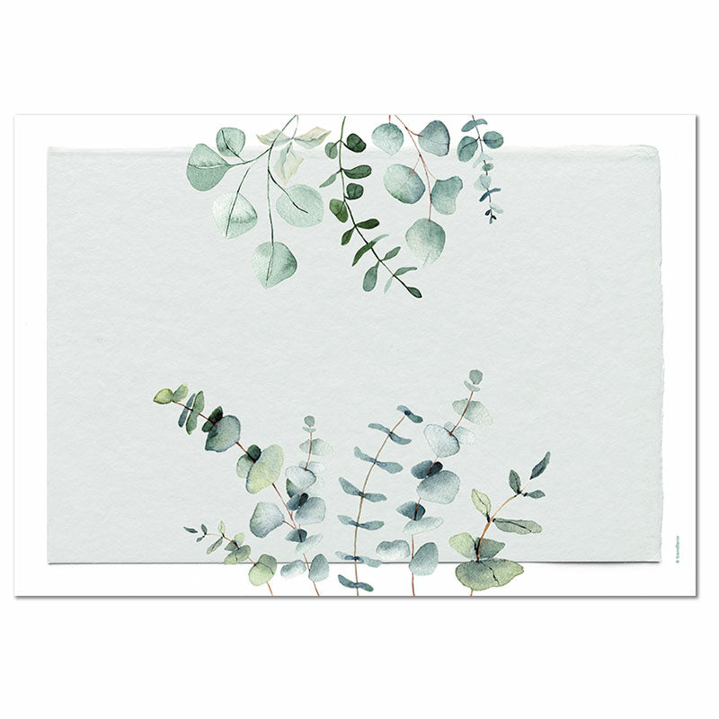 Trendform Tischset Eukalyptus, Papier, 29,7 × 42 cm – FSC – 12 Stk.