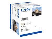 Epson Tintenpatrone T7441 (C13T74414010), Schwarz, 181,1 ml, Original – für WP-M4000/M4500