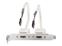 Lindy USB-Kabel intern/extern – 0,2 m – Slotbracket