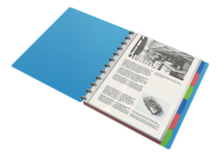 Esselte Sichtbuch VIVIDA – 25 Sichttaschen, A4, austauschbar, sortiert, PP