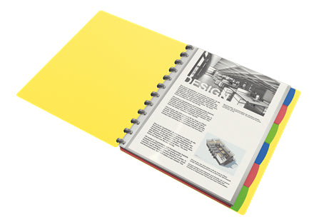 Esselte Sichtbuch VIVIDA – 25 Sichttaschen, A4, austauschbar, sortiert, PP