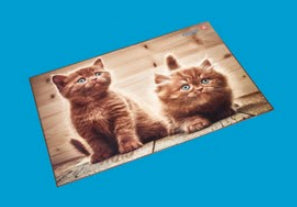 Laufer Schreibunterlage – Katze – 530 × 400 mm – Kunststoff, rutschfest