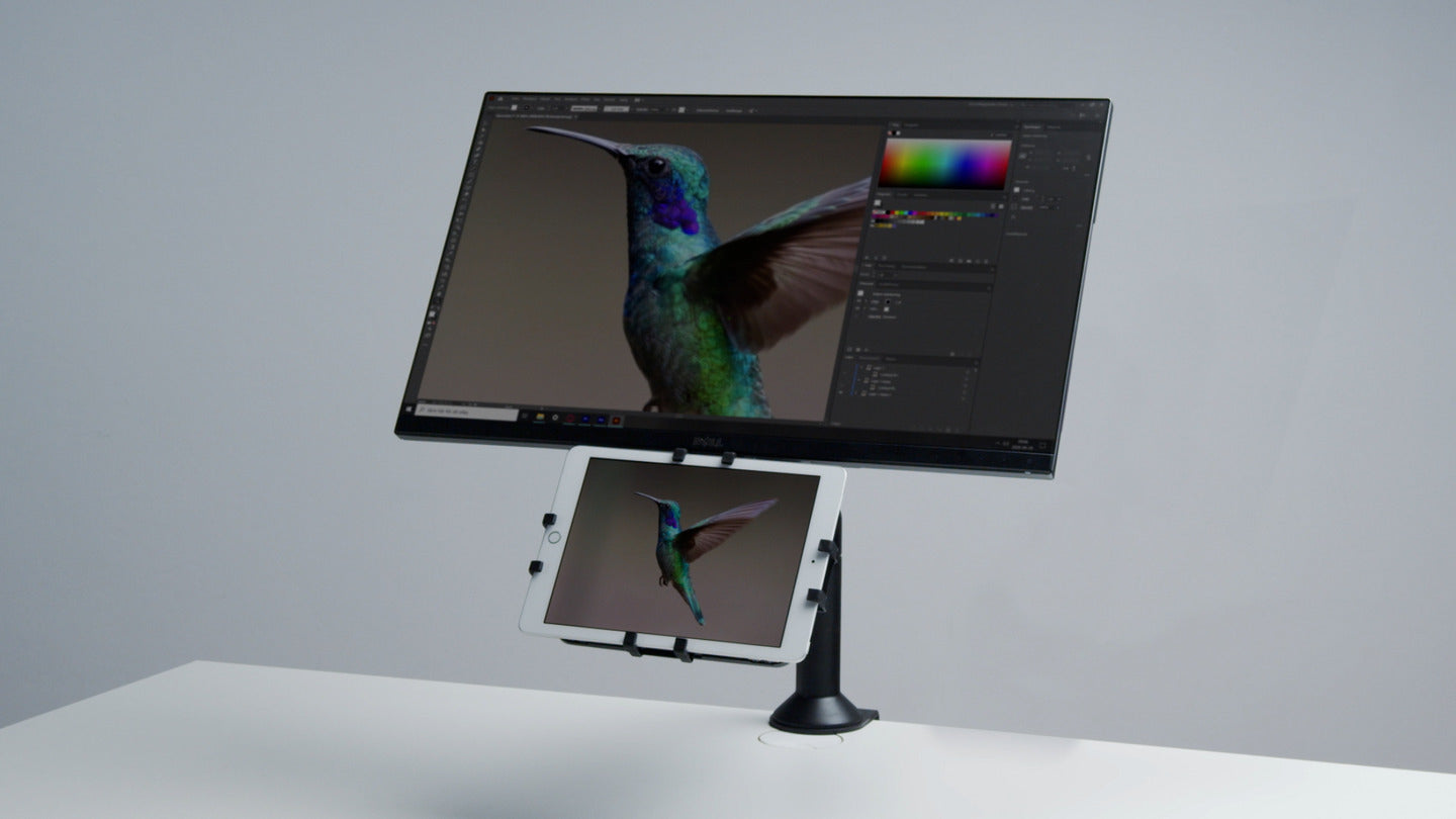 Multibrackets Tablet-Tischhalterung für iPad – bis 13", abschliessbar, VESA 75×75 – Schwarz