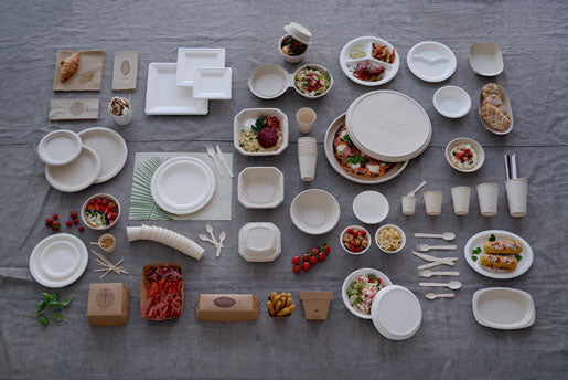 Duni Teller, Bagasse (Zuckerrohr), rund – Ø 17 cm, braun
