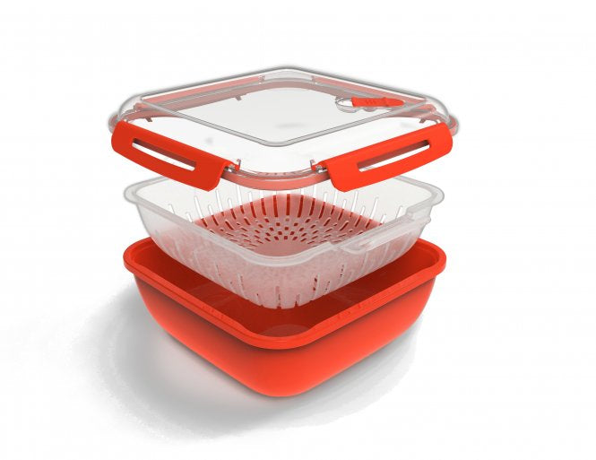 Rotho Memory – Vorratsdose 1,7 l, 19,5 × 19,5 × 9,1 cm, Polypropylen (PP), Rot