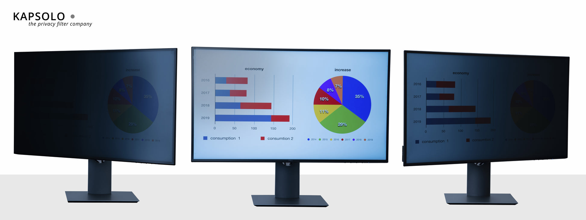 KAPSOLO Displayschutz für 17,0" (16:10) Bildschirme