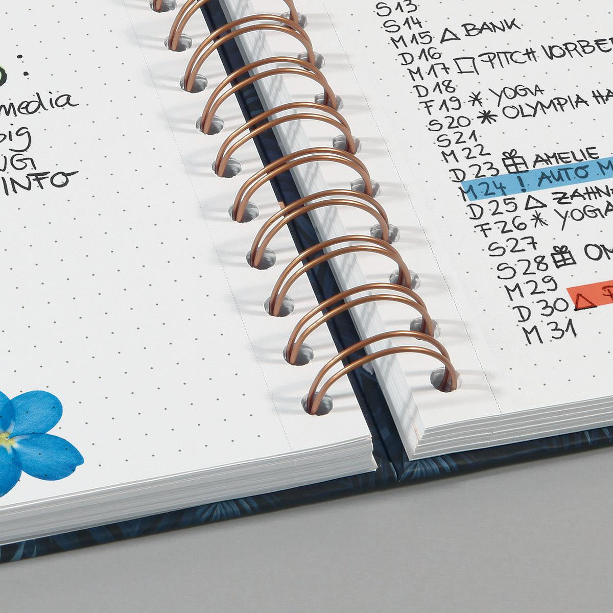 Sigel Notizbuch, punktkariert, Spiralbindung, Hardcover, 240 Seiten, perforiert, 120 g/m² – mehrfarbig