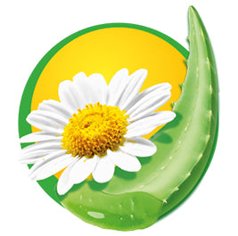 Hakle Feuchtes Toilettenpapier – Kamille, Aloe Vera, dermatologisch getestet, alkoholfrei – 4 × 42 Tücher