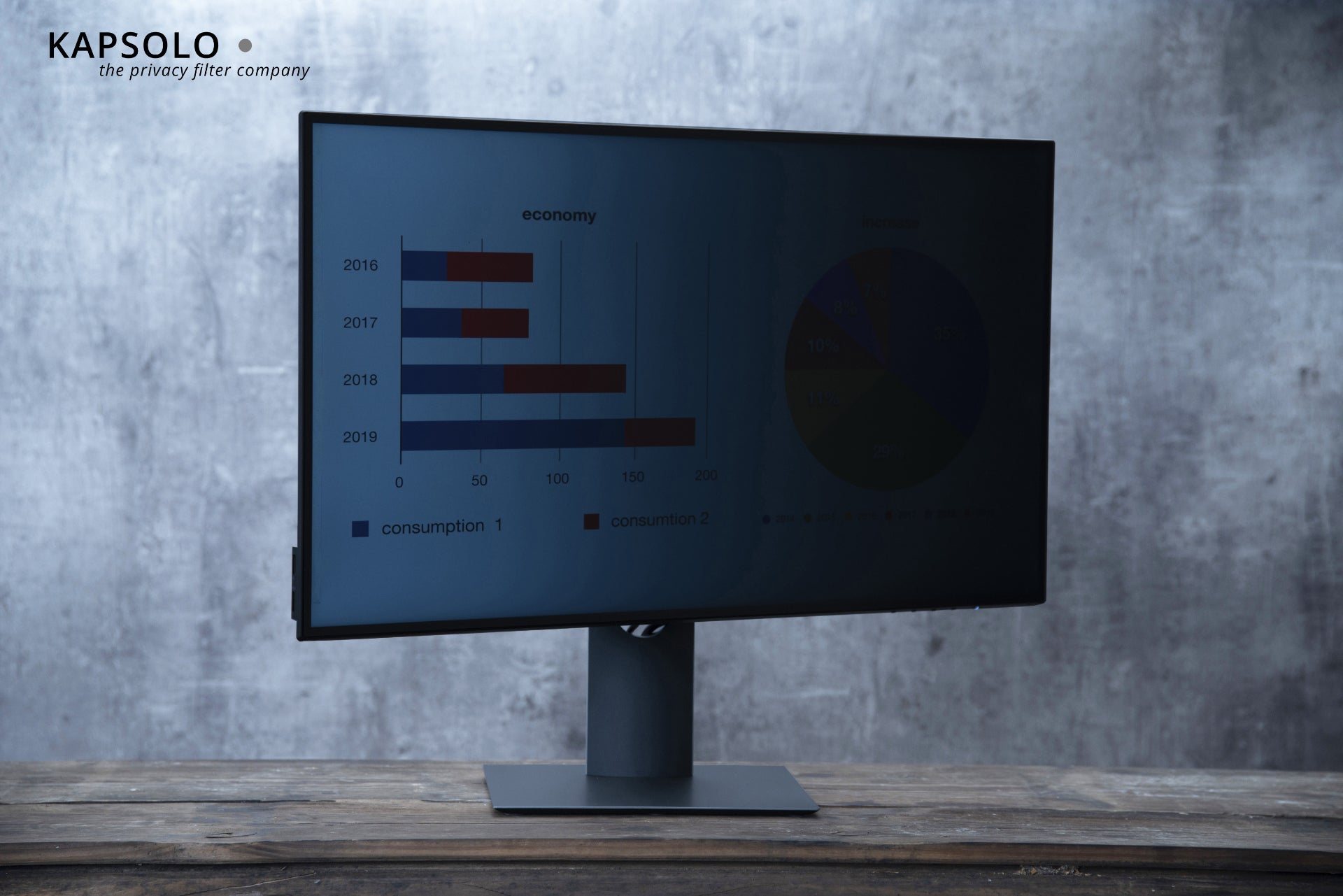 KAPSOLO Displayschutz für 17,0" (16:10) Bildschirme