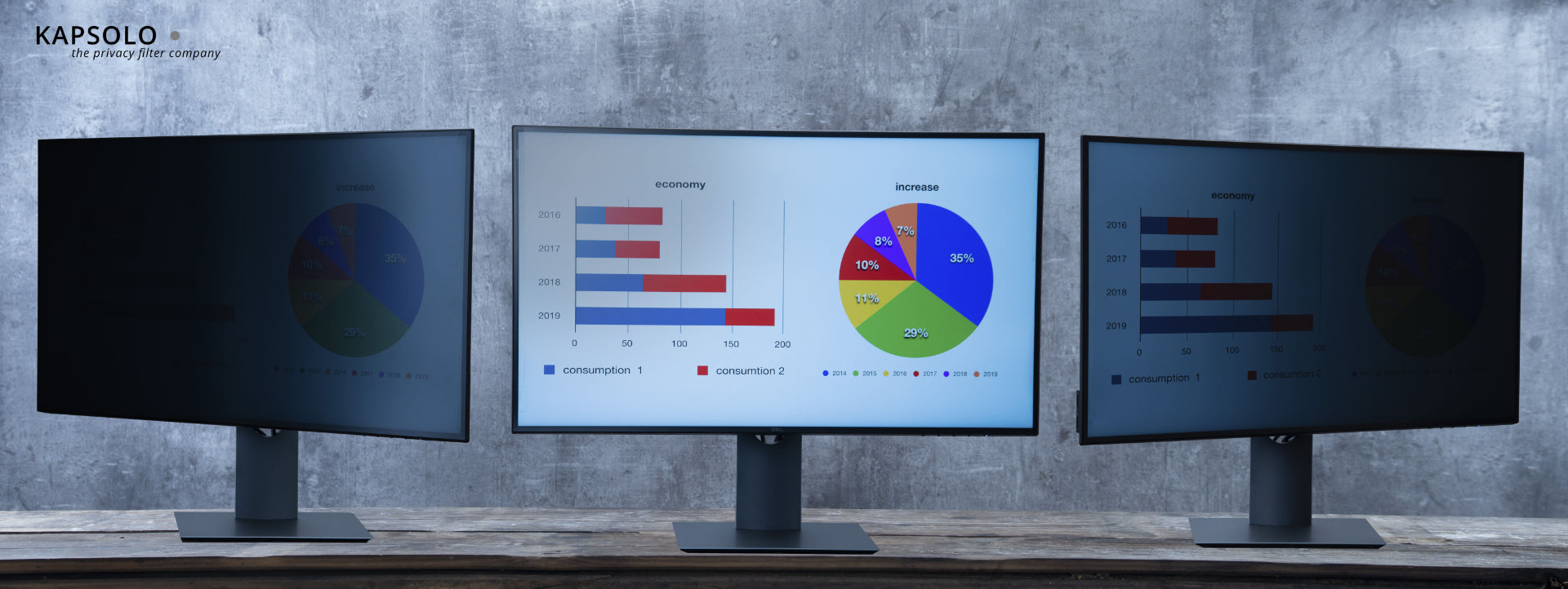 KAPSOLO Displayschutz für 17,0" (16:10) Bildschirme