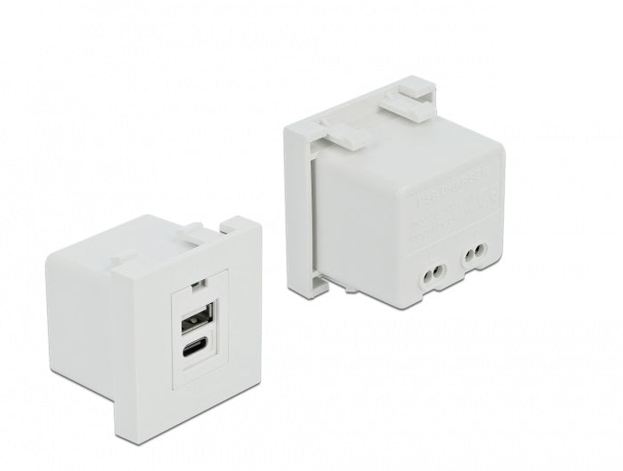 DeLOCK Easy 45 USB-Ladeportmodul 11 W – USB-C×1, USB-A×1 – Terminalblock – Weiss