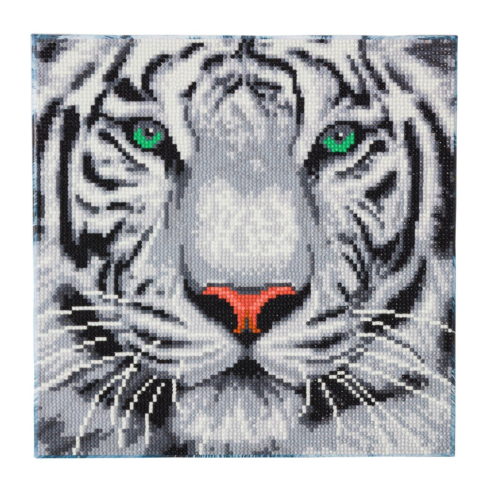 CRAFT Buddy Diamond Painting Set – Weisser Tiger – 30 × 30 cm – 11-teilig – ab 8 Jahren