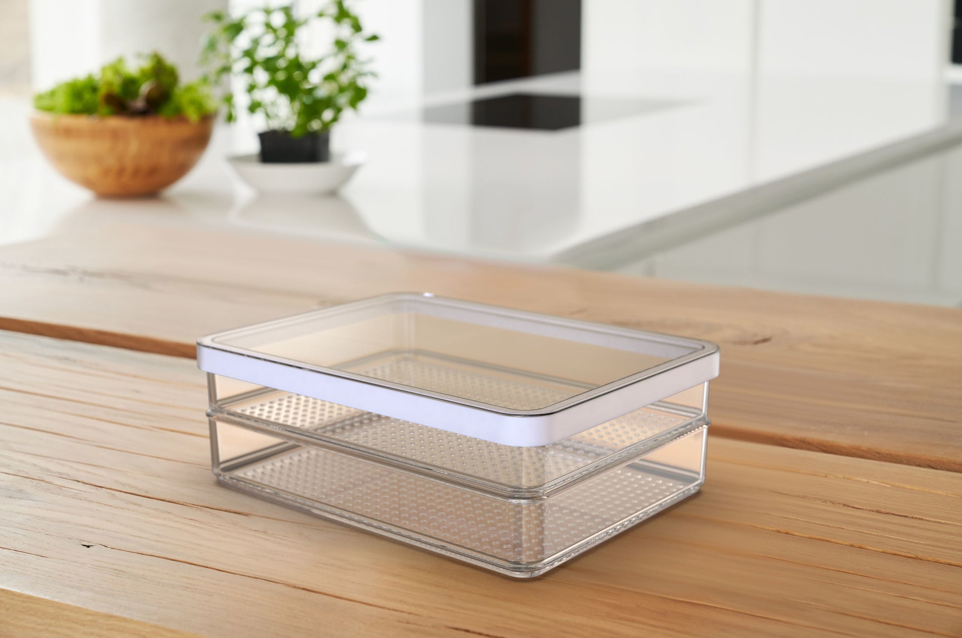 Rotho Vorratsdose 2 × 850 ml, 15 × 20 × 7 cm, Kunststoff (SAN), transparent/weiss