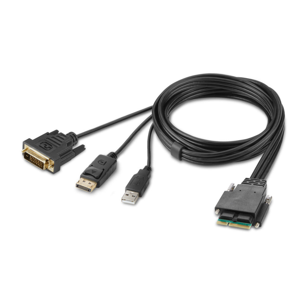 Belkin DVI–DP Dual-Head Hostkabel – 1,8 m